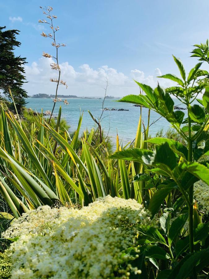 L'Escale 551, Gite Santec A 250M De La Plage Dış mekan fotoğraf